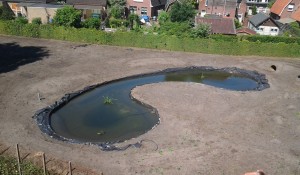 Herinrichting natuurlijk gebied/tuin